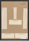 Diatomeae indet. Zeichnungen Sammlung Grunow Nr. 4404 (NHMW-BOT-W0372566)